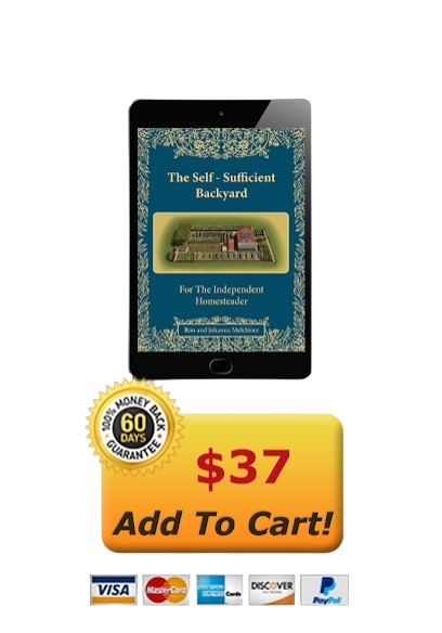 https://independentbackyard.com/my-book/#aff=SauloTiago